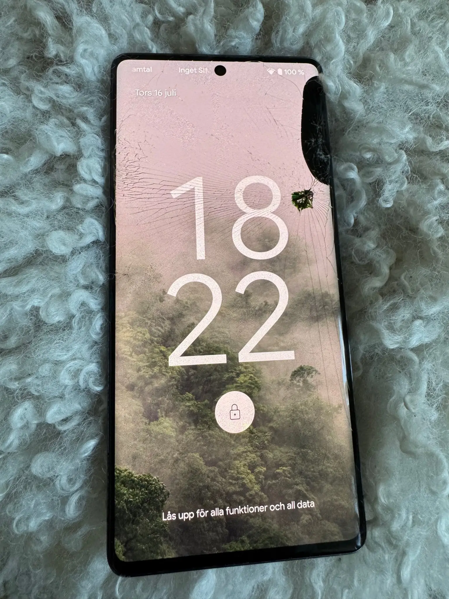 Google Pixel 7 Pro